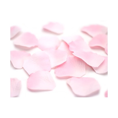 Light Pink Coloured Rose Petal Sample - Real Flower Petal Confetti Co